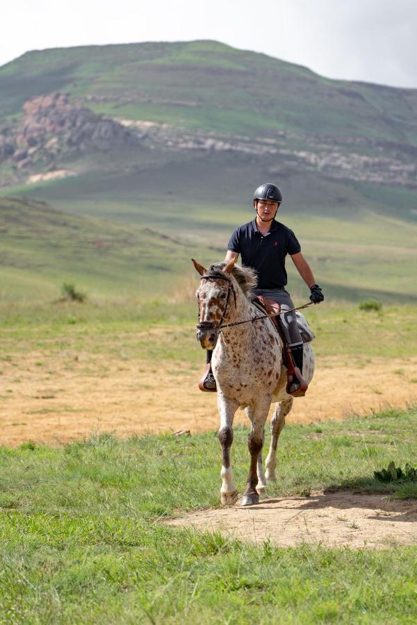 Wild Horses Lodge Harrismith Eksteriør bilde