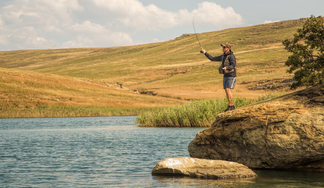 Wild Horses Lodge Harrismith Eksteriør bilde