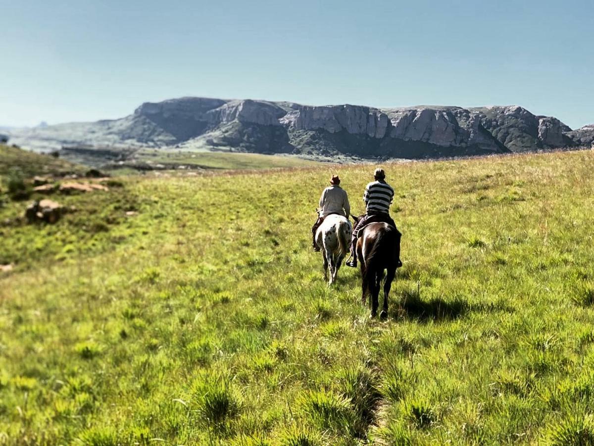 Wild Horses Lodge Harrismith Eksteriør bilde